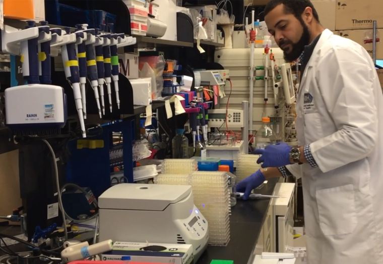 A scientist working at a lab bench with pipettes and samples